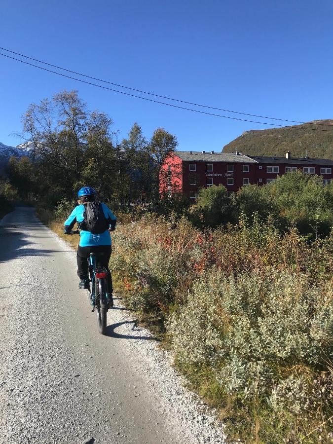 Vatnahalsen Hoyfjellshotell Hotel 3*