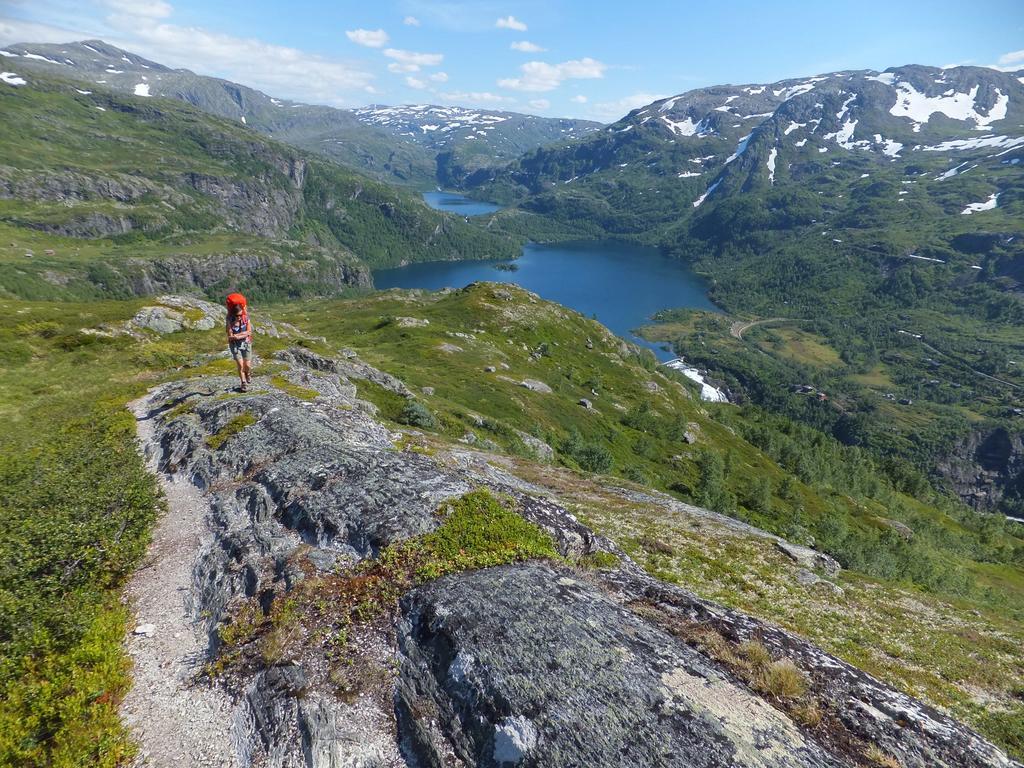 Hotel Vatnahalsen Hoyfjellshotell Myrdal
