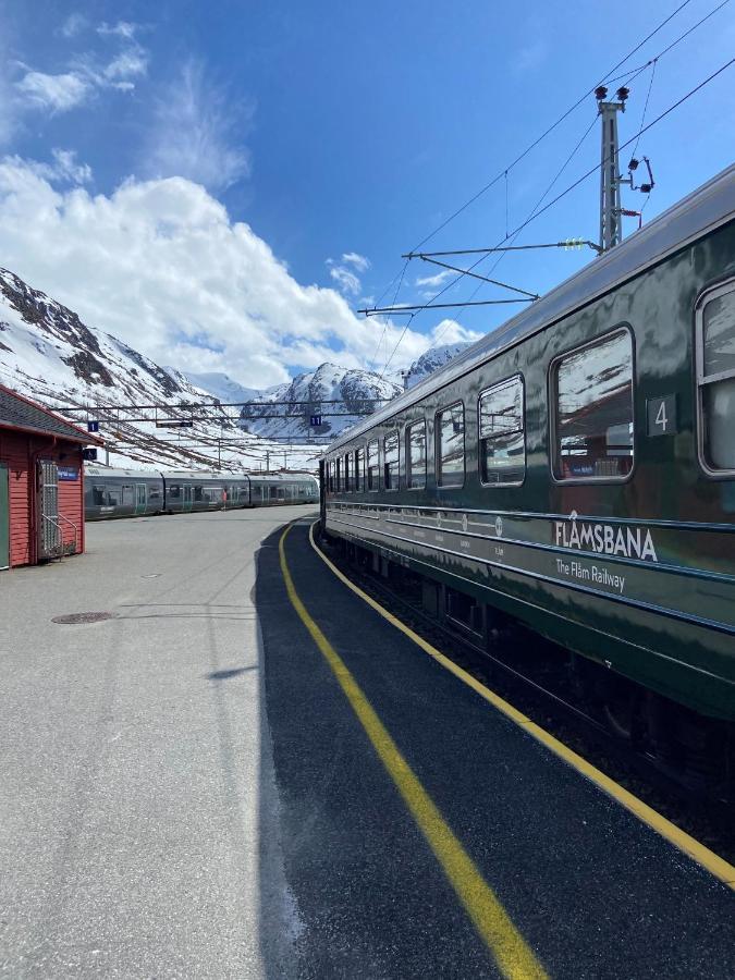 Vatnahalsen Hoyfjellshotell Hotel Myrdal